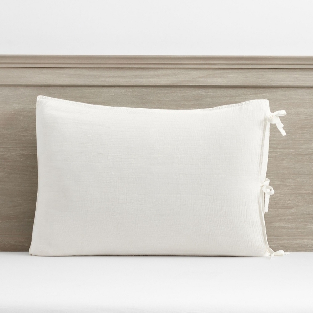 POTTERY BARN Soft Gauze Standard Shams